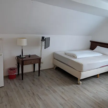 Hotel Pension Bluechersruh Hotel 3*