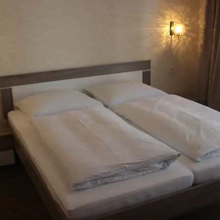Hotel Pension Bluechersruh Hotel 3*